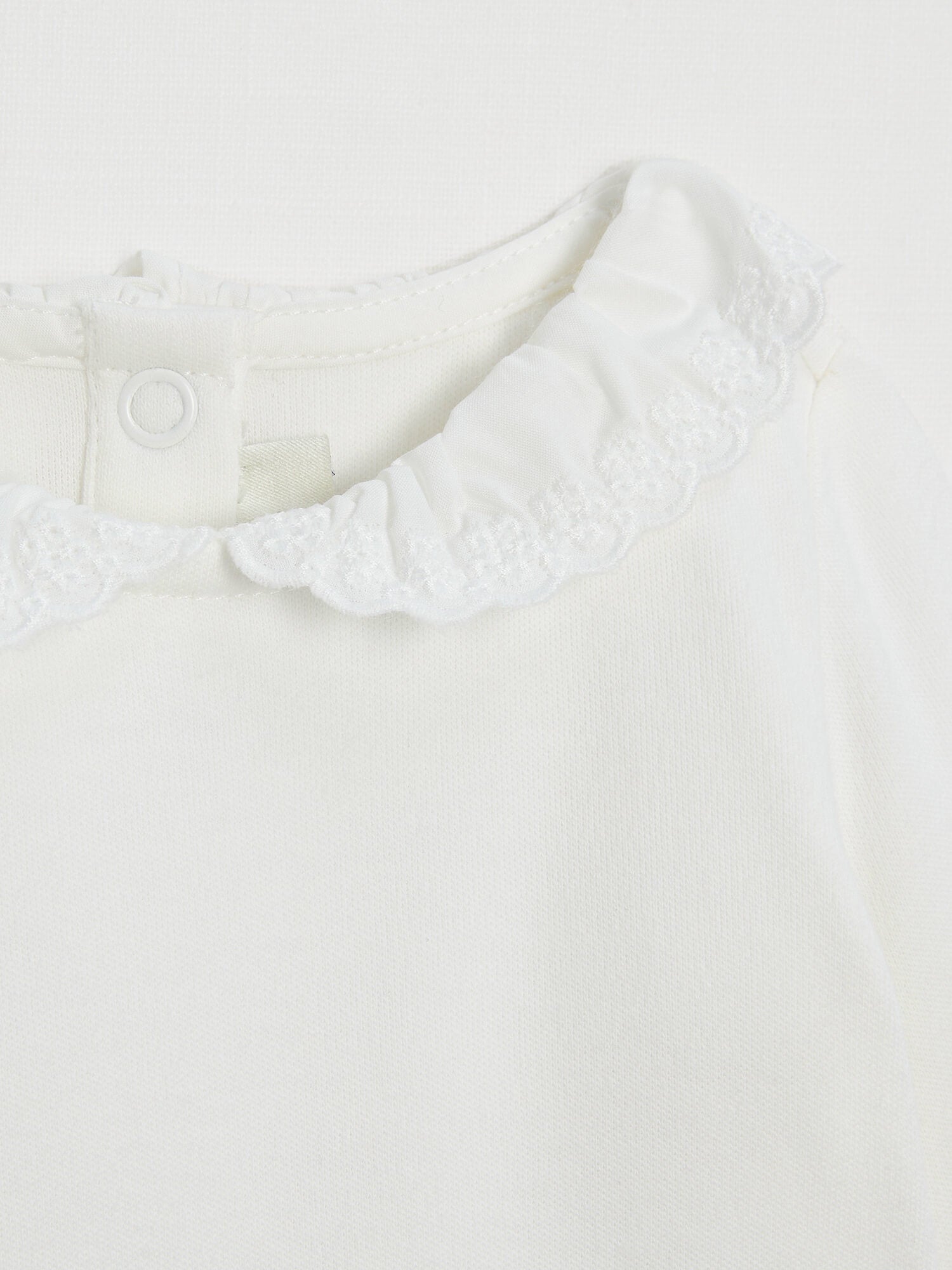 בגד גוף צווארון קלאודין