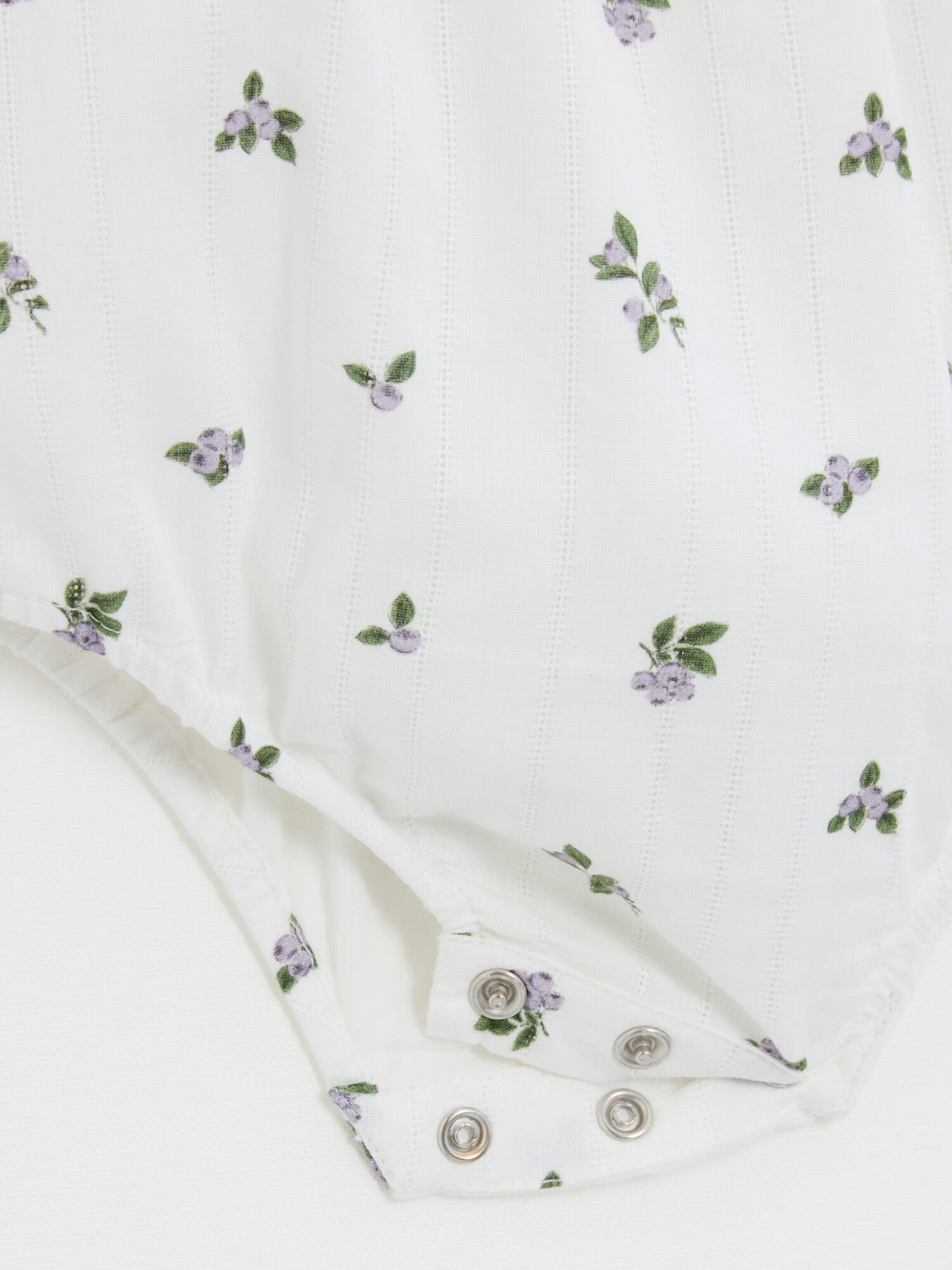 רומפר אוכמניות